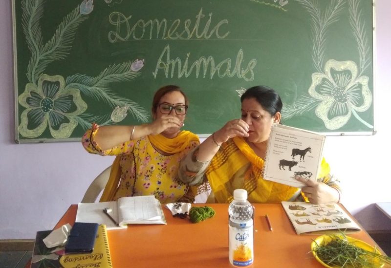 Online Teaching Nursery-KG (15)